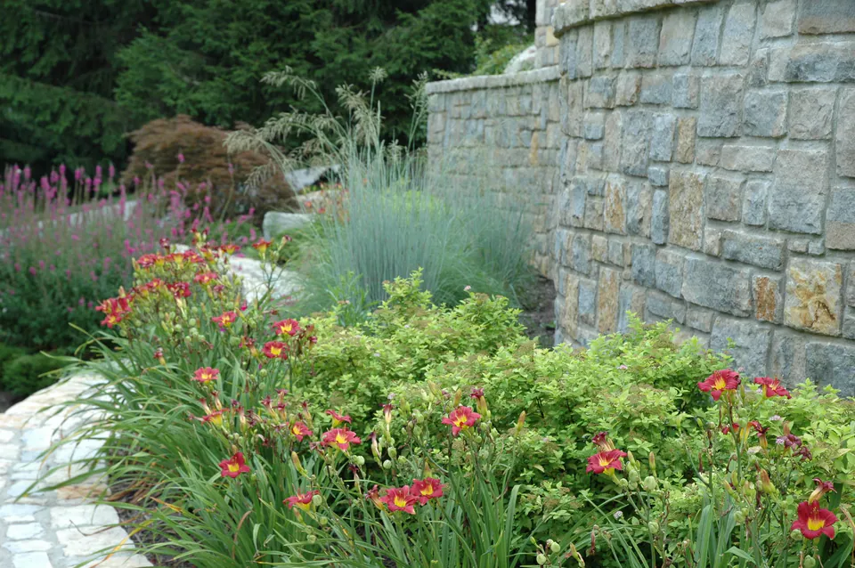 Tall cut limestone retaining wall with red daylilies and grasses planted at its base